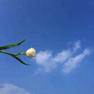西游闹天宫满v版下载